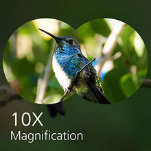 Carica l'immagine nel visualizzatore di Gallery, Binocolo 10x50, Binocoli