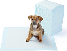 Carica l'immagine nel visualizzatore di Gallery, AmazonBasics - Tappetini igienici assorbenti per animali Pacco da 100