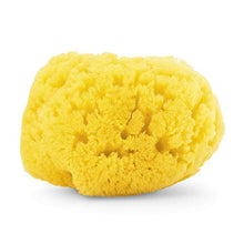 Carica l'immagine nel visualizzatore di Gallery, Chicco Spugna Marina, 100% Naturale, 0+ Mesi