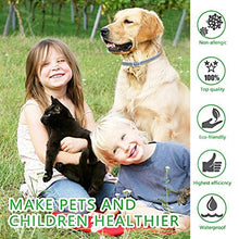 Carica l'immagine nel visualizzatore di Gallery, PROZADA [2 PCS] Collare Antipulci Cane, Antiparassitario per Cani Tutti... - Ilgrandebazar