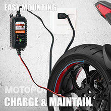 Carica l'immagine nel visualizzatore di Gallery, MOTOPOWER MP00205A 12V 800mA Completamente Automatico 1) -