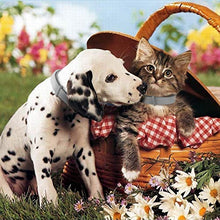 Carica l'immagine nel visualizzatore di Gallery, NINGBO CHANSON Collare Antipulci per Cane e Gatto, 60cm Collare... - Ilgrandebazar