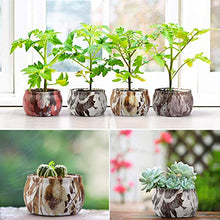 Carica l'immagine nel visualizzatore di Gallery, Albrillo Candele Profumate Set 4 Pcs, Durata 22 Ore Candela Regalo...