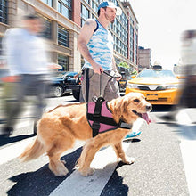 Carica l'immagine nel visualizzatore di Gallery, Imbracatura per Cani Traspirante Senza M: collo 16,5 "-21" (42-53 cm), Rosa
