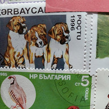 Carica l'immagine nel visualizzatore di Gallery, Dogs of the World-Timbro, collezione, Souvenir con animali, cane... - Ilgrandebazar