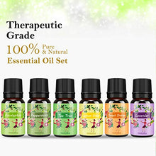 Carica l'immagine nel visualizzatore di Gallery, Oli Essenziali per Diffusori Top 6 Set - Aromaterapia Olio Essenziale Clear