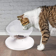 Carica l'immagine nel visualizzatore di Gallery, Sammiu, ciotola rialzata per gatti, con piattaforma inclinata di 20°,...