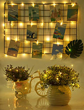 Carica l'immagine nel visualizzatore di Gallery, Luci Per Foto,Cshare 2M 20LED 20 Crystal Photo Clips Lucine Led Decorative 2m
