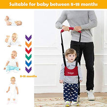 Carica l'immagine nel visualizzatore di Gallery, Vicloon Bretelle/Redini Primi Passi, Bretelle di Sicurezza per Bambino...