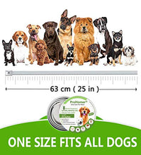 Carica l'immagine nel visualizzatore di Gallery, PROZADALAN [2 PCS] Collare Antipulci Cane, Antiparassitario per Cani per...
