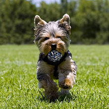 Carica l'immagine nel visualizzatore di Gallery, Toozey Giochi per Cani di Piccola Taglia/Cuccioli - 7pcs Cane...