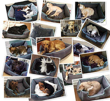 Carica l'immagine nel visualizzatore di Gallery, Cuccia per Cani Sfoderabile Cuscino Rettangolare in M( 63×53 cm), Grigio - Ilgrandebazar