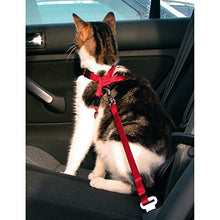 Carica l'immagine nel visualizzatore di Gallery, Trixie - Pettorina per automobile gatti 20 - 50 cm adjustable, rosso - Ilgrandebazar