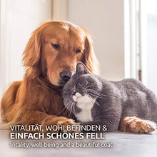 Carica l'immagine nel visualizzatore di Gallery, AniForte Omega-3 Capsule di Olio Salmone per Cani e Gatti 500 -...