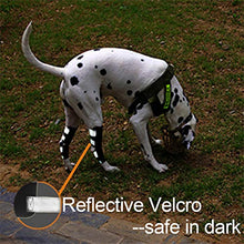 Carica l'immagine nel visualizzatore di Gallery, Beauty You Tutore per la Gamba Posteriore del Cane, utilizzato xs