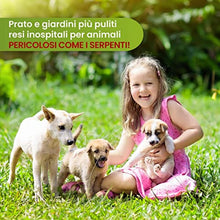 Carica l'immagine nel visualizzatore di Gallery, 5