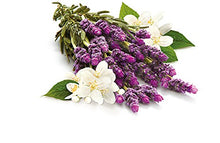 Carica l'immagine nel visualizzatore di Gallery, Glade Discreet Doppia Ricarica - Fragranza Fiori di Lavanda e Gelsomino