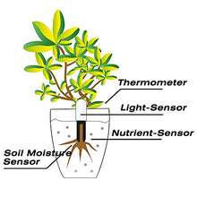 Carica l'immagine nel visualizzatore di Gallery, Wanfei per Xiaomi Flower Care Soil Tester, Intelligent Plant Monitor 1 PCS