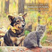 Carica l'immagine nel visualizzatore di Gallery, AniForte Omega-3 Capsule di Olio Salmone per Cani e Gatti 500 -...