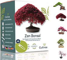 Carica l'immagine nel visualizzatore di Gallery, 8