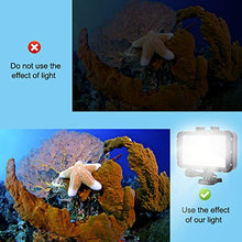 Carica l'immagine nel visualizzatore di Gallery, Suptig - Illuminazione video subacquea con 72 luci a LED, compatibile con...