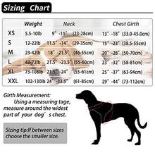 Carica l'immagine nel visualizzatore di Gallery, Imbracatura per Cani Traspirante Senza M: collo 16,5 "-21" (42-53 cm), Rosa