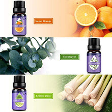 Carica l'immagine nel visualizzatore di Gallery, Oli Essenziali per Diffusori,Aromaterapia Puri 100%,Naturali... - Ilgrandebazar