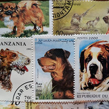 Carica l'immagine nel visualizzatore di Gallery, Dogs of the World-Timbro, collezione, Souvenir con animali, cane... - Ilgrandebazar