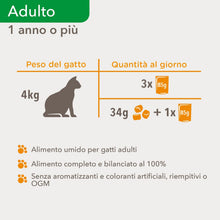 Carica l'immagine nel visualizzatore di Gallery, 17
