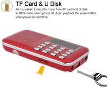 Carica l'immagine nel visualizzatore di Gallery, docooler Radio Altoparlanti Portatili Radio Portabile con Display LCD Supporto Lettore U Disco e Micro SD Card AUX MP3 Support USB Drive TF Card AUX-in Earphone-out