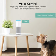 Carica l'immagine nel visualizzatore di Gallery, Presa Intelligente WiFi16A Smart Plug Zoozee Wireless Pack 2