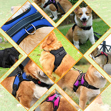 Carica l'immagine nel visualizzatore di Gallery, Musonic Pettorina per Cane, Traspirante, Regolabile, Comodo, L, Viola