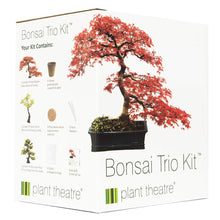 Carica l'immagine nel visualizzatore di Gallery, Plant Theatre - Bonsai Trio, Kit per la Coltivazione di 3
