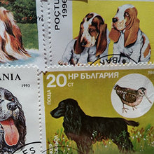 Carica l'immagine nel visualizzatore di Gallery, Dogs of the World-Timbro, collezione, Souvenir con animali, cane... - Ilgrandebazar