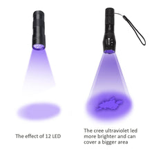 Carica l'immagine nel visualizzatore di Gallery, Didisky Torcia UV LED Lampada 395 NM Ultravioletti Blacklight mano lampada... - Ilgrandebazar