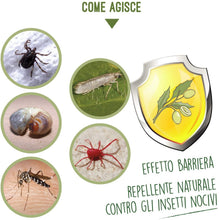 Carica l'immagine nel visualizzatore di Gallery, i Consigli dell'Esperto Olio di NEEM ad Uso Non Alimentare, Flacone 240 ml