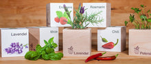 Carica l'immagine nel visualizzatore di Gallery, Extragifts ecocube Caffè - piante nel cubo di legno verde - Ilgrandebazar