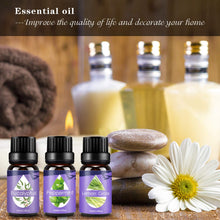 Carica l'immagine nel visualizzatore di Gallery, Oli Essenziali per Diffusori,Aromaterapia Set - Ilgrandebazar