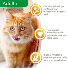 Carica l'immagine nel visualizzatore di Gallery, 15