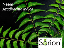 Carica l'immagine nel visualizzatore di Gallery, Sorion Crema 50 g - per la pelle secca, pruriginosa, arrossata e squamosa 50 g - Ilgrandebazar
