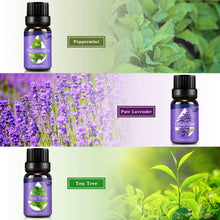 Carica l'immagine nel visualizzatore di Gallery, Oli Essenziali per Diffusori,Aromaterapia Set - Ilgrandebazar