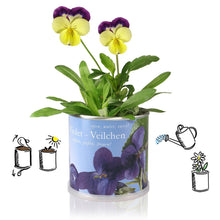 Carica l'immagine nel visualizzatore di Gallery, Extragifts Fiori in lattina - Girasole giallo - Ilgrandebazar