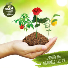 Carica l'immagine nel visualizzatore di Gallery, i Consigli dell'Esperto Olio di NEEM ad Uso Non Alimentare, Flacone 240 ml