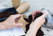 Carica l'immagine nel visualizzatore di Gallery, Sow Lush Herb Your Enthusiasm, Kit Regalo con Semi, 6 deliziose varietà di... - Ilgrandebazar