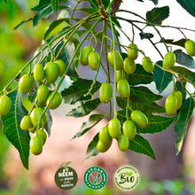 Carica l'immagine nel visualizzatore di Gallery, i Consigli dell'Esperto Olio di NEEM ad Uso Non Alimentare, Flacone 240 ml