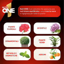 Carica l'immagine nel visualizzatore di Gallery, 8