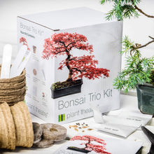 Carica l'immagine nel visualizzatore di Gallery, Plant Theatre - Bonsai Trio, Kit per la Coltivazione di 3
