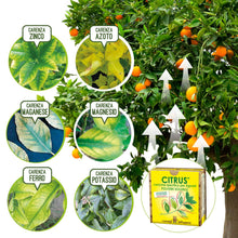 Carica l'immagine nel visualizzatore di Gallery, I Consigli Dell'Esperto Citrus Concime Minerale Specifico per Agrumi - Ilgrandebazar