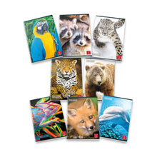 Carica l'immagine nel visualizzatore di Gallery, Pigna Animal 02302835M, Quaderno formato A4, Rigatura 5M , quadretti 5 mm.