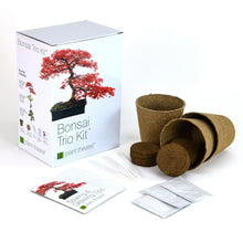Carica l'immagine nel visualizzatore di Gallery, Plant Theatre - Bonsai Trio, Kit per la Coltivazione di 3